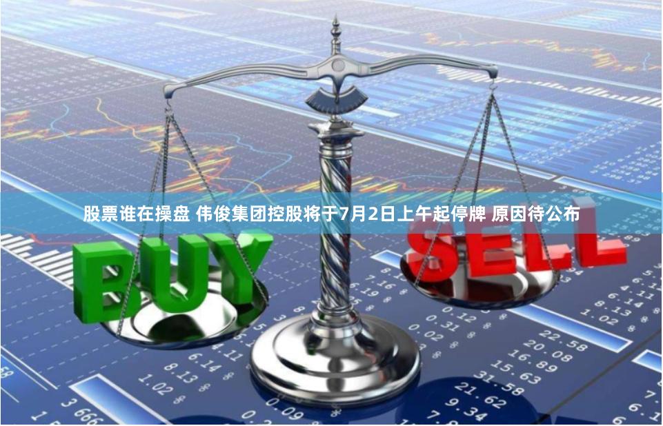 股票谁在操盘 伟俊集团控股将于7月2日上午起停牌 原因待公布