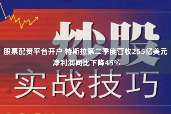 股票配资平台开户 特斯拉第二季度营收255亿美元 净利润同比下降45%