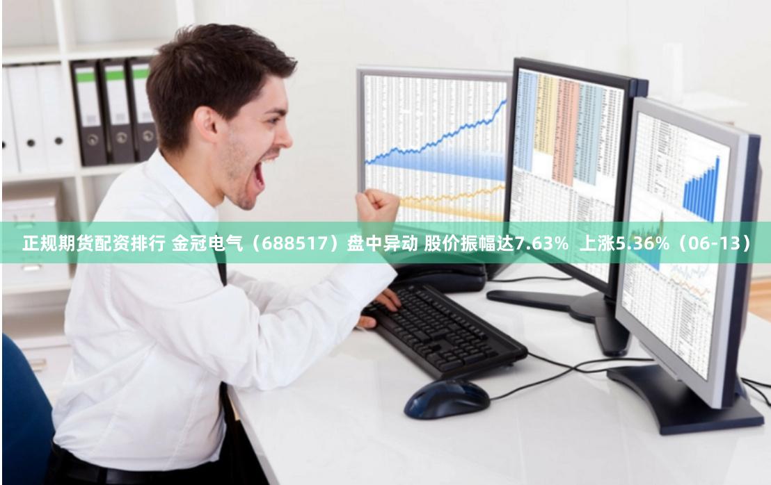 正规期货配资排行 金冠电气（688517）盘中异动 股价振幅达7.63%  上涨5.36%（06-13）