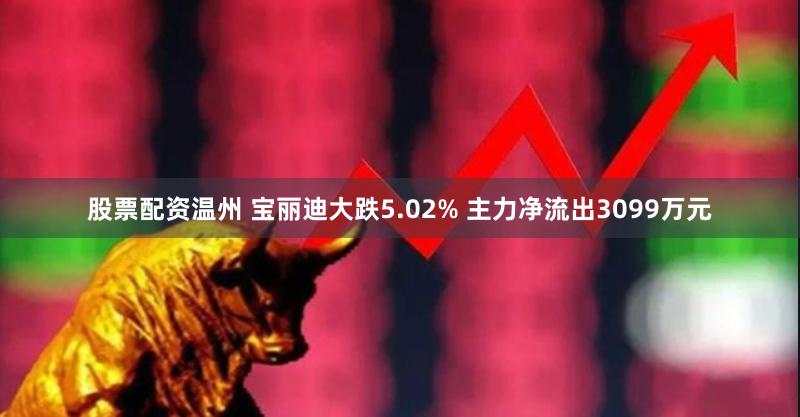 股票配资温州 宝丽迪大跌5.02% 主力净流出3099万元