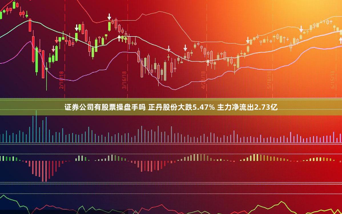 证券公司有股票操盘手吗 正丹股份大跌5.47% 主力净流出2.73亿