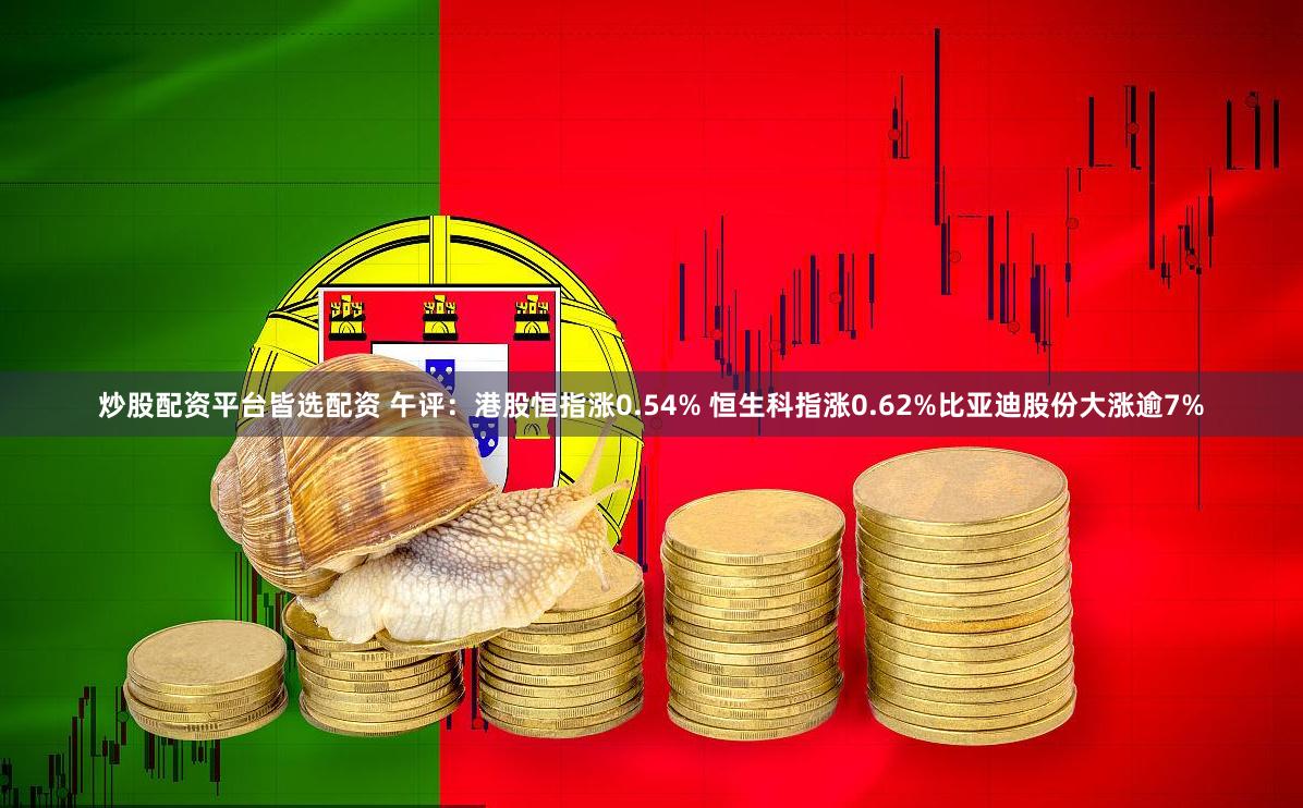 炒股配资平台皆选配资 午评：港股恒指涨0.54% 恒生科指涨0.62%比亚迪股份大涨逾7%