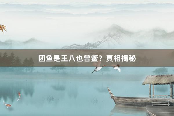 团鱼是王八也曾鳖？真相揭秘